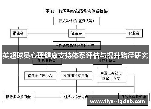 英超球员心理健康支持体系评估与提升路径研究