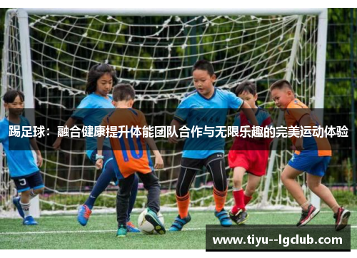 踢足球：融合健康提升体能团队合作与无限乐趣的完美运动体验