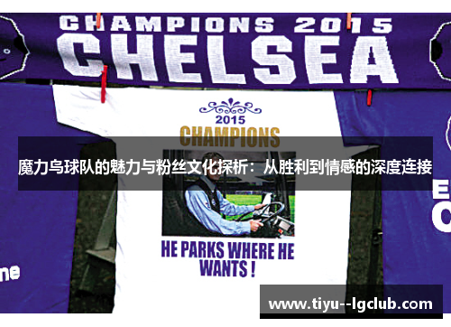 魔力鸟球队的魅力与粉丝文化探析：从胜利到情感的深度连接